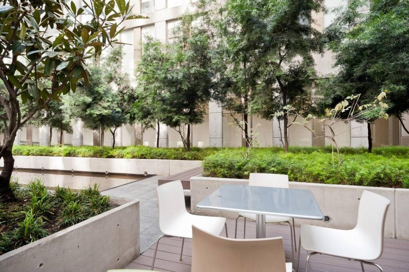 Apartment Steps To Palacio De Bellas Artes, Pool, Gym Mexico City